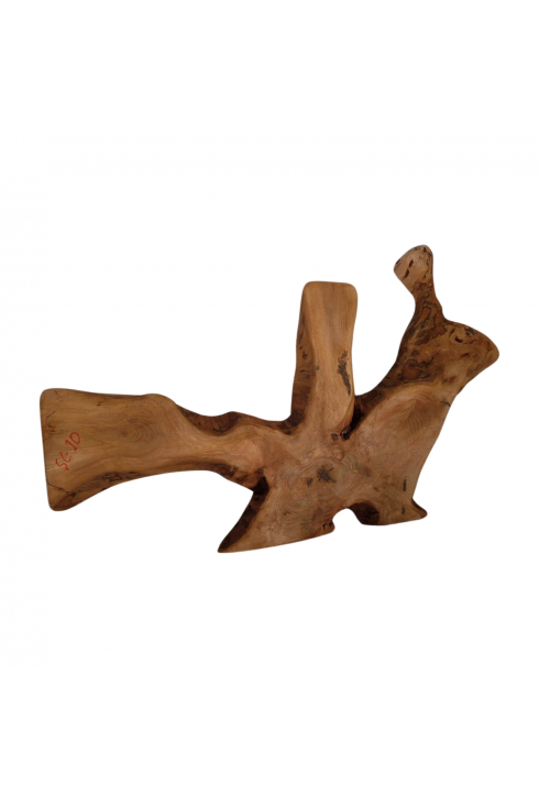 Dinozor