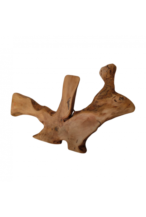 Dinozor